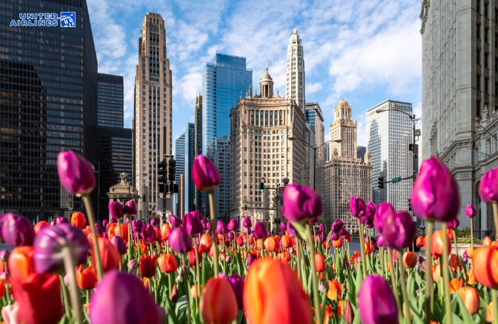 Công viên Millennium vào mùa xuân