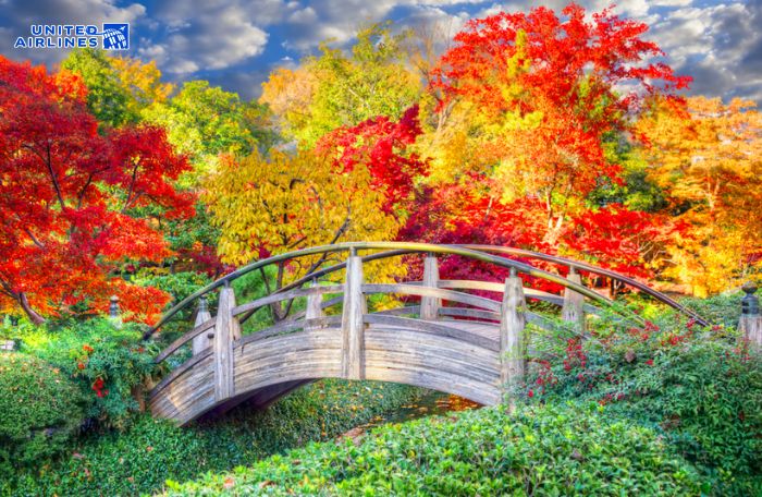 Mùa thu ở Houston