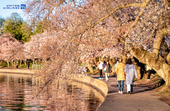 Trải nghiệm đi dạo quanh hồ Tidal Basin
