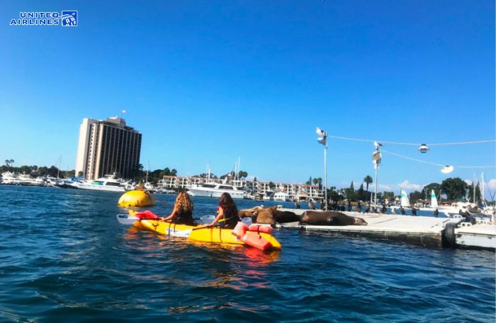 Chèo thuyền Kayak tại Mission Bay