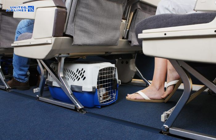 Tiêu chuẩn lồng vận chuyển thú cưng United Air Tiêu chuẩn lồng vận chuyển thú cưng United Air