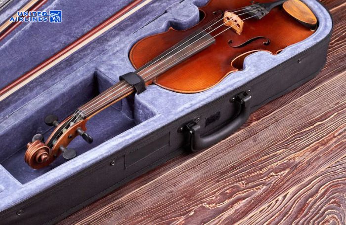 Đóng gói bằng hộp đựng nhạc cụ chắc chắn Đóng gói bằng hộp đựng nhạc cụ chắc chắn