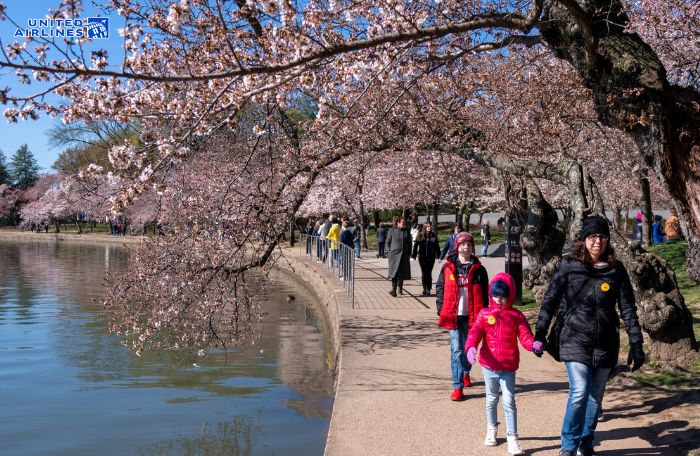 Chuẩn bị trang phục hợp với thời tiết Washington DC