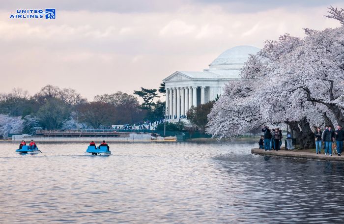 Hồ Tidal Basin vào mùa xuân