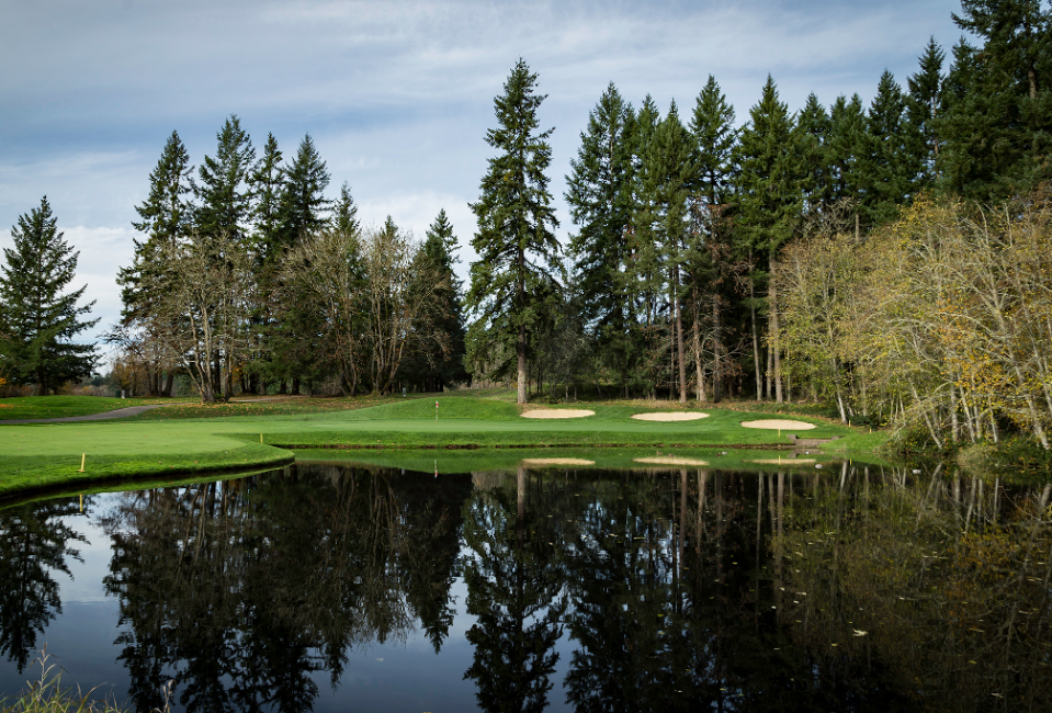 Golf Pumpkin Ridge, nơi Tiger Tiger