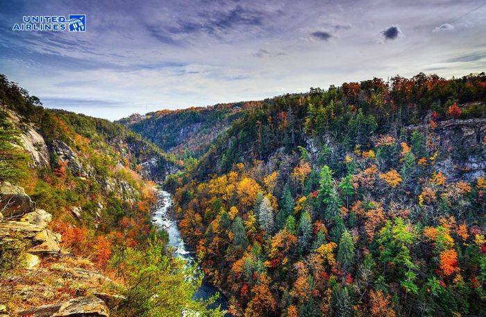 Khí hậu Mỹ ôn hòa tại vùng Đông Nam 