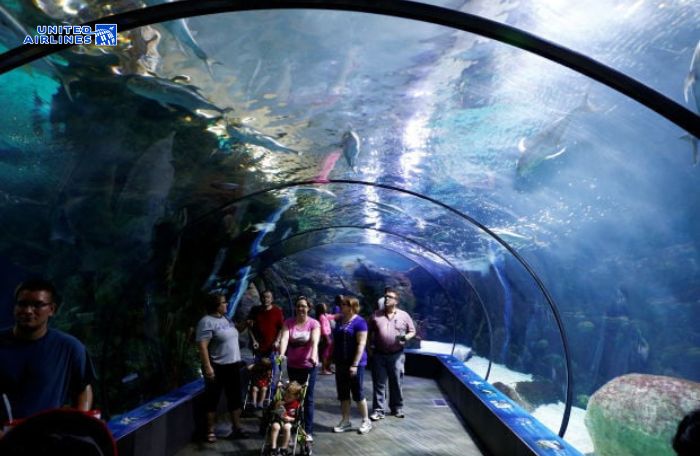 Thủy cung Henry Doorly