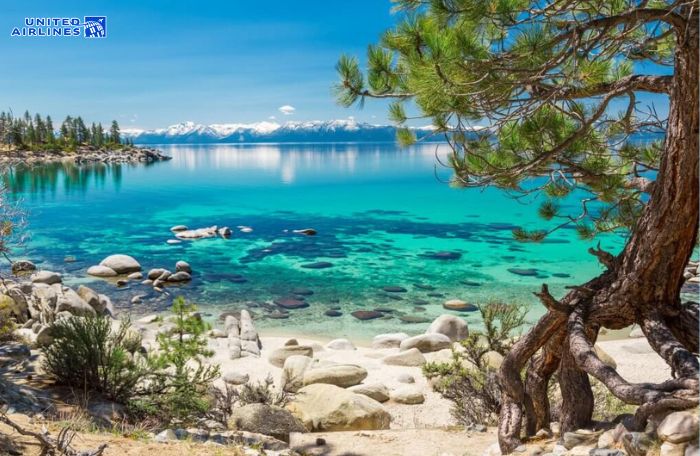 Rừng Quốc gia Tahoe