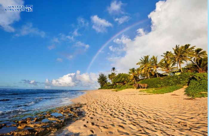 Chọn thời điểm du lịch ở Hawaii