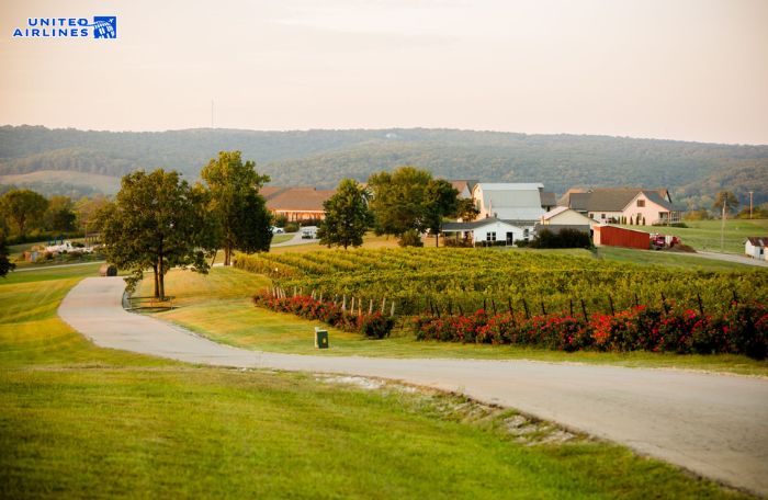 Khám phá vườn nho gần Ste. Genevieve