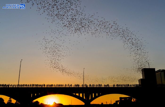 Cầu Congress Avenue