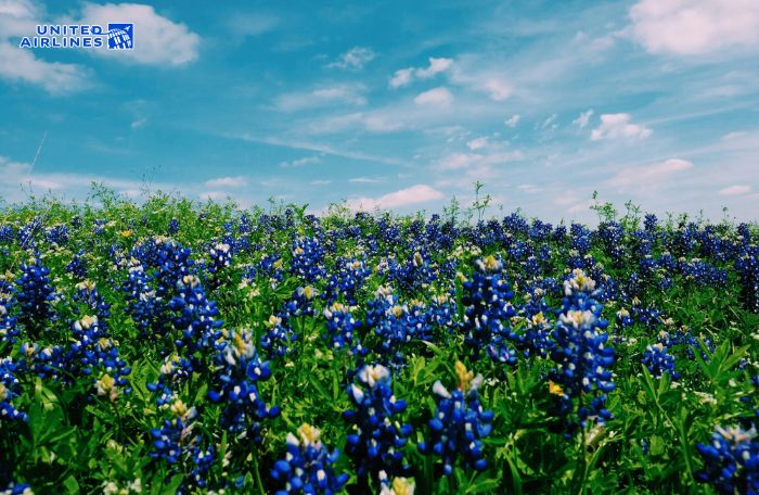 Thời tiết mùa xuân Austin