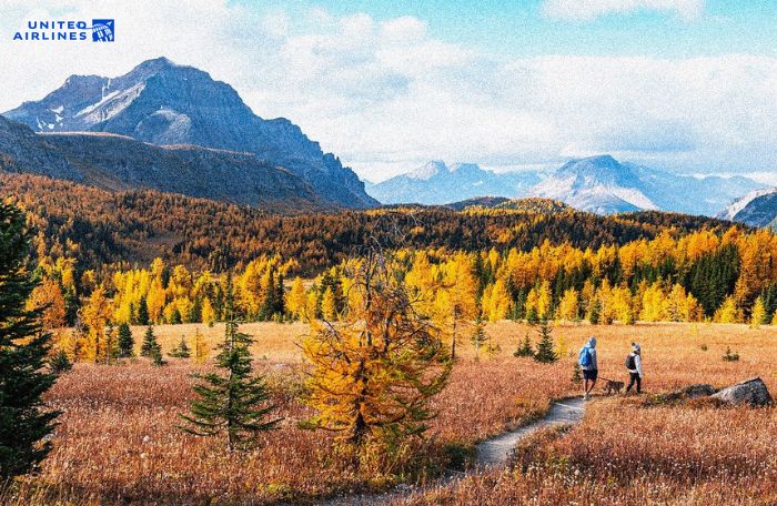 Trải nghiệm hoạt động mùa thu Chicago đa dạng