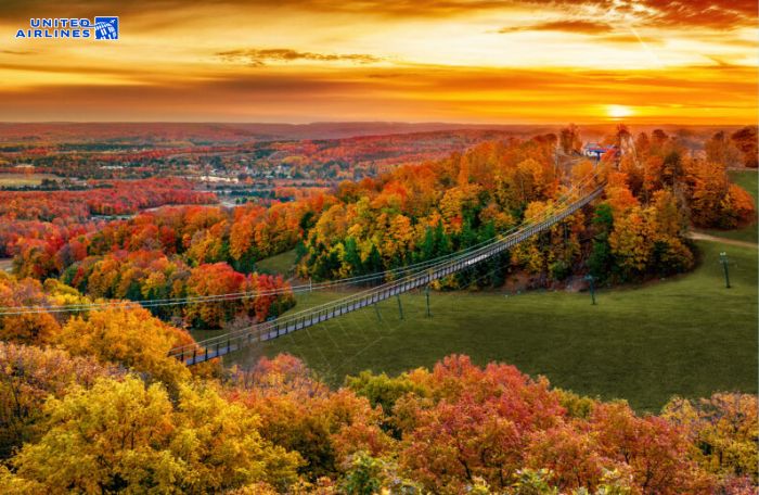 Cảnh quan mùa thu ở Chicago đầy rực rỡ 