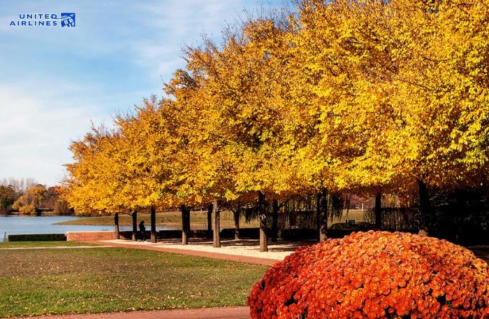 Vườn thực vật Chicago