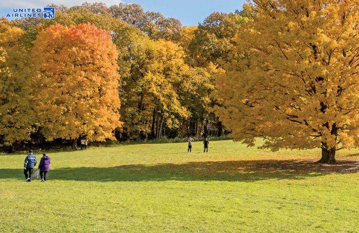 Vườn thực vật Morton