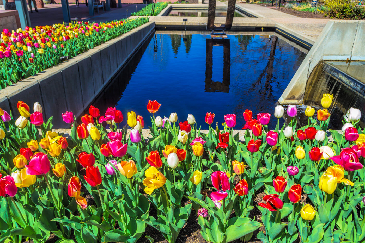 Du lịch thành phố Denver Hoa Kỳ Du lịch thành phố Denver Hoa Kỳ