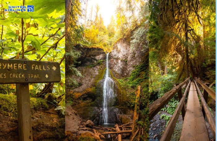 Thác Marymere nằm trong Olympic National ParkThác Marymere nằm trong Olympic National Park