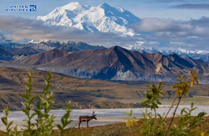 Vườn quốc gia Denali