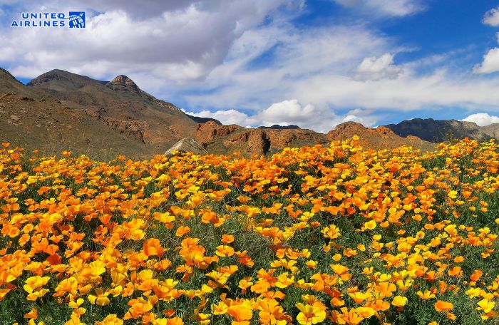 Công viên Franklin Mountains