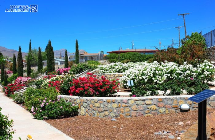 Vườn hoa Municipal nở rộ vào mùa xuân