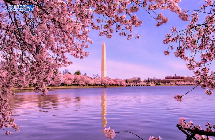 Thủ đô Washington DC của Mỹ