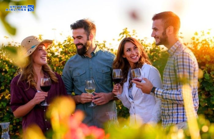 Thưởng thức rượu vang ở California quanh năm