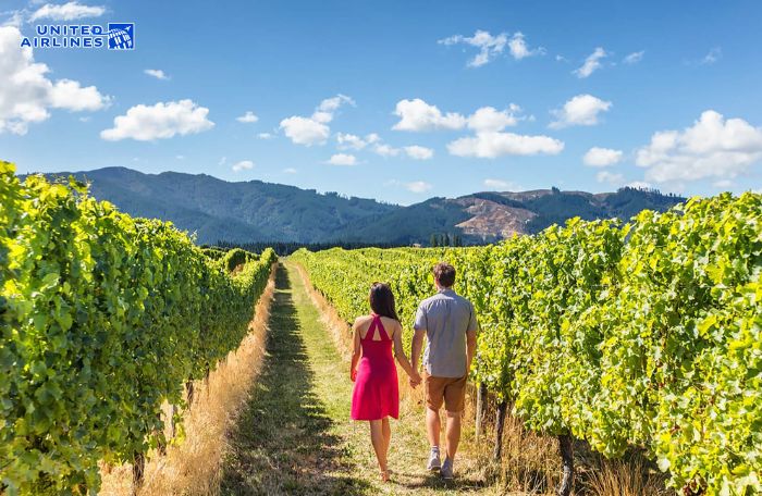 Thung lũng Napa là trái tim rượu vang của Mỹ