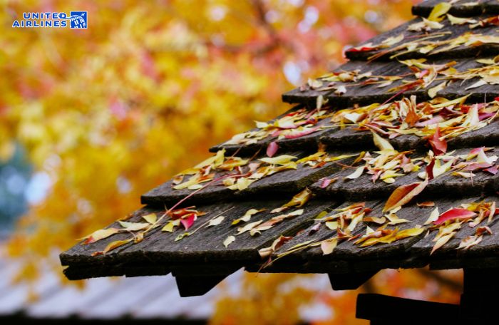 Khí hậu mùa thu Fresno