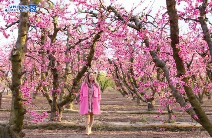 Khí hậu mùa xuân Fresno