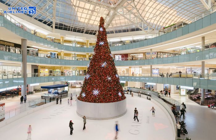 Khám phá mùa đông ở Dallas