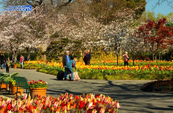 Mùa xuân ở Dallas