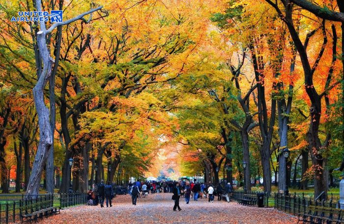 Mùa thu New York đầy lãng mạn