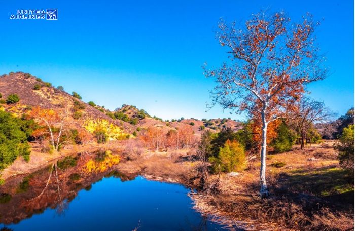 Mùa thu ở Los Angeles
