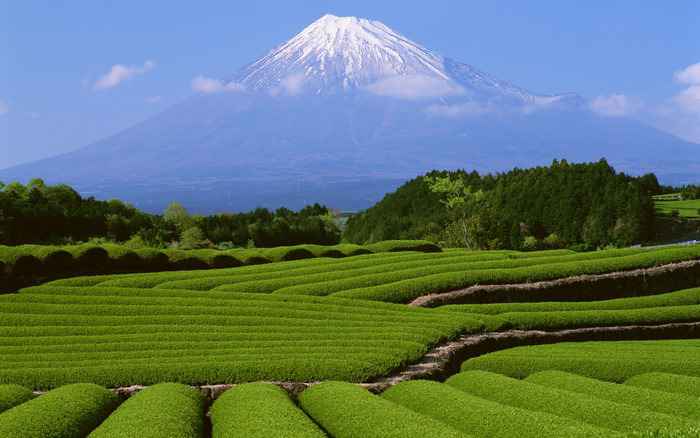 Núi Phú Sĩ chỉ mở cửa cho du khách vào tháng 7 và 8 hàng năm.