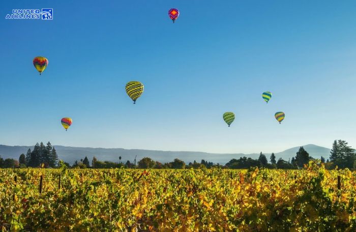 Trải nghiệm khinh khí cầu ở Napa Valley