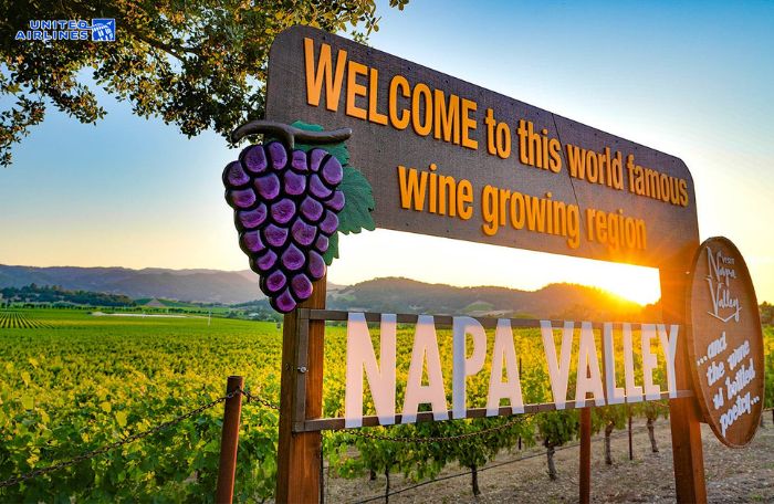 Napa Valley là thung lũng đẹp ở California