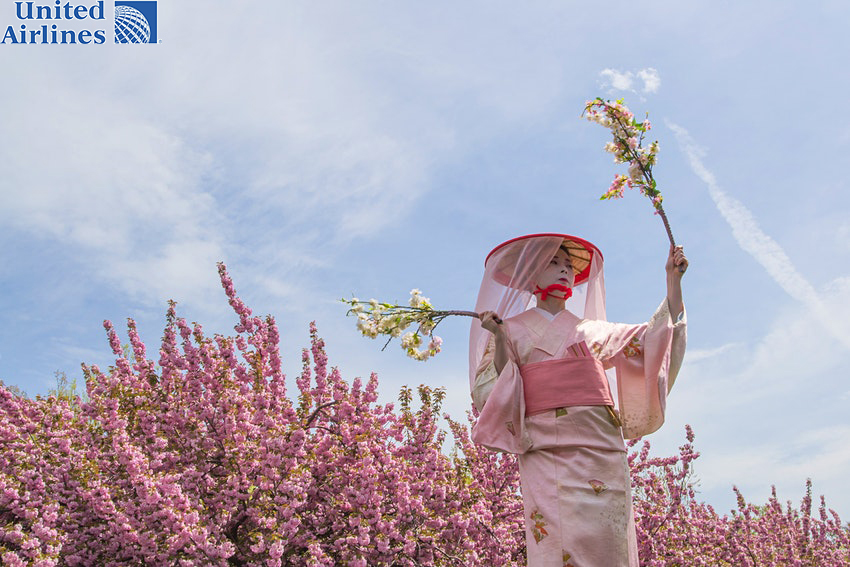 Lễ hội Sakura Matsuri tôn vinh văn hóa Nhật Bản tại Vườn bách
