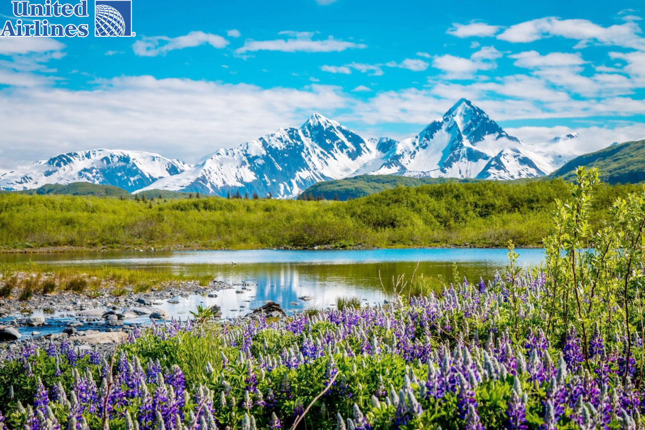 Công viên quốc gia Kenai Fjords ở Alaska là một trong những địa điểm thú vị để ghé thăm ở Mỹ
