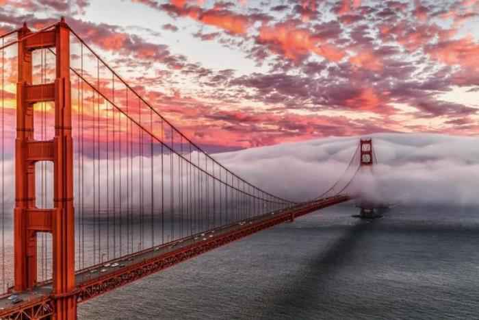 Một đoạn cầu Golden Gate chìm trong sương mù dày đặc