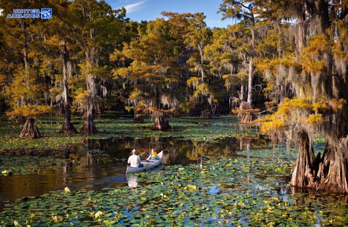 Trải nghiệm các hoạt động ngoài trời Texas vào buổi sáng
