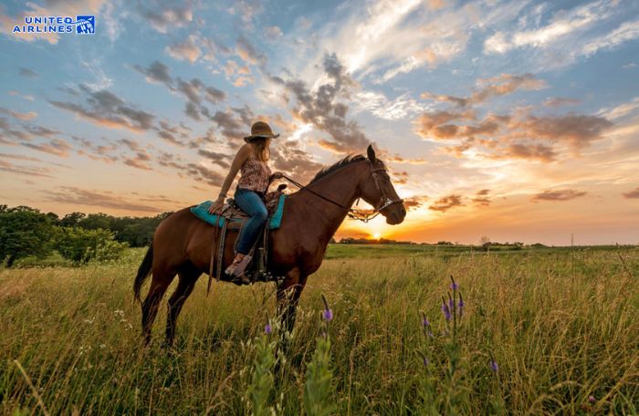 Cưỡi ngựa tại Circle S