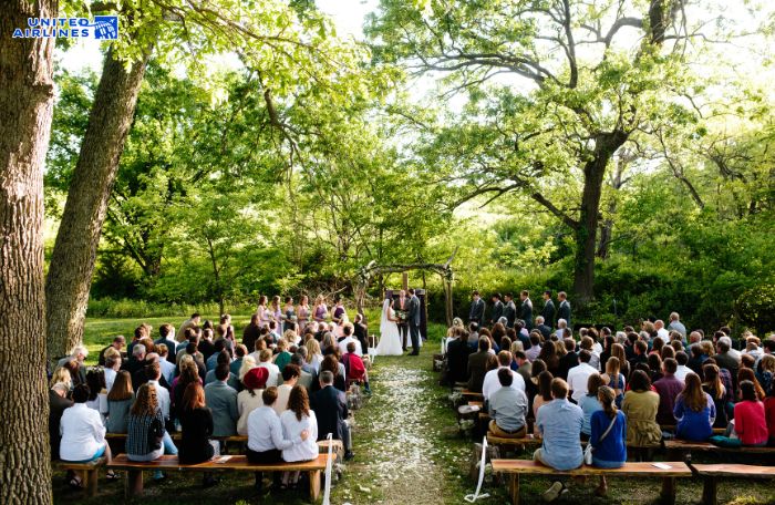 Tổ chức lễ cưới ở Circle S