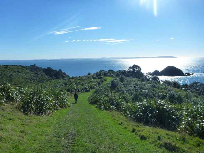 Tiri Tiri (hay còn gọi là Hòn Đảo Ma) là một khu bảo tồn thực vật của Auckland.