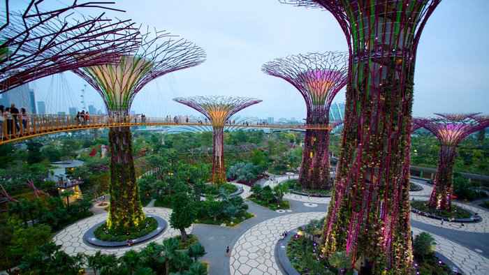 Siêu cây tại Gardens by the Bay, biểu tượng mới của Singapore