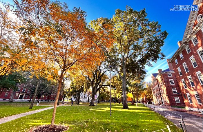 Mùa thu Boston mang đến vẻ đẹp lãng mạn