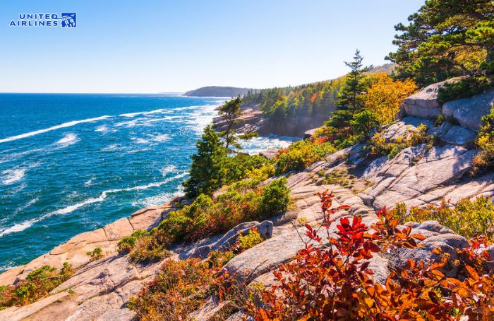 Công viên quốc gia Acadia