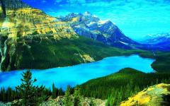 Vé máy bay đi Canada giá rẻ