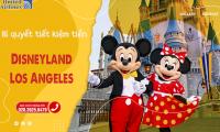 Bật mí bí quyết tiết kiệm tiền khi du lịch Disneyland – Los Angeles