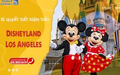 Bật mí bí quyết tiết kiệm tiền khi du lịch Disneyland – Los Angeles
